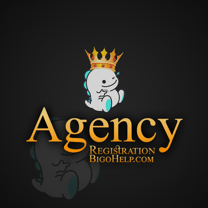 Bigo Live Agency LLC Company